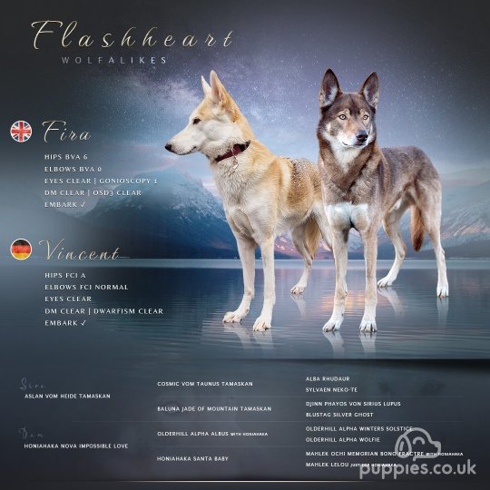 Northern Inuit - Both