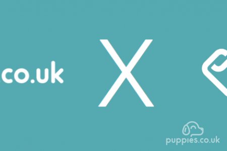 puppies.co.uk Deposit Scheme with Trustap
