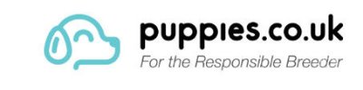 Puppies.co.uk